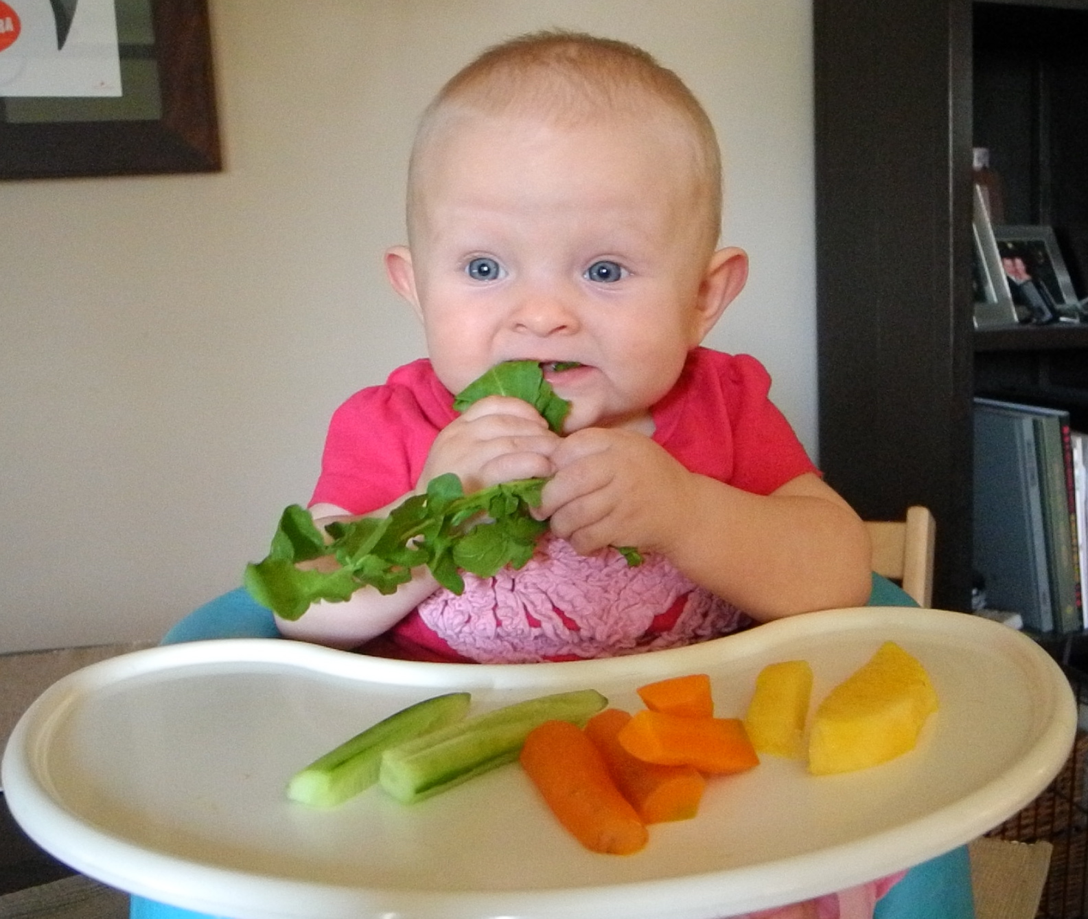 Baby Led Weaning (BLW) Comida Para Comer Del Bebé Fotos, retratos